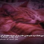 دانلود آهنگ ممنونم از امیر تتلو و هایده